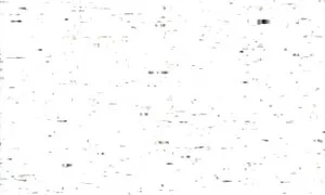 Rayveness زنان پوسته بالغ را لیس لینک کانال تلگرامی فیلم سوپر می زند