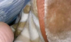 جوان Shimara در عینک فروشنده را دانلود فیلم سکس تلگرام لعنتی