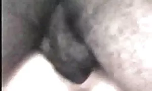 دو دوست دختر مقعدی خشن را با کانال کلیپ سکس در تلگرام یک focker black امتحان می کنند